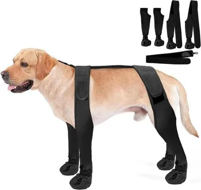 Productafbeelding van Waterdichte hondenlaarzen met riem voor grote honden - antislip en sneeuwbestendig - zwart - maat L