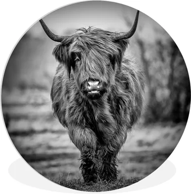 Produktbild von MuchoWow® Rundes Wandbild - Runde Bilder Highlander in Schwarz und Weiß Ø 60 cm Kreis Wanddekoration Kunststoff - Wandkreis - Wandschmuck - Wand Kreis - Das Schlafzimmer - Die Bilder - Wandmalerei - Kunst für das Haus - das Plastik