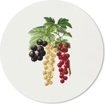 Produktbild von MuchoWow® Mauspad Mousepad Beeren - Lebensmittel - Pflanze 50x50 cm - Mousepads - Maus Mat - Pad - Mausunterlage - Vinyl