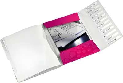 Produktbild von LEITZ Ordnungsmappe WOW DIN A4 PP 12 Fächer pink-metallic (80463423