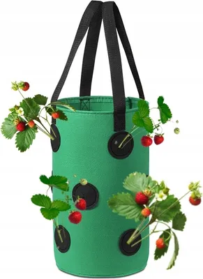 Immagine prodotto di Vaso appeso Sacchetto di pomodori ciliegini TRUSKAVES SCHATTEN 35