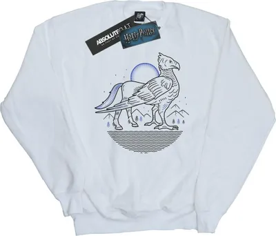 Produktbild von Harry Potter - Sweatshirt für Herren BI27623 (S) (Weiß)