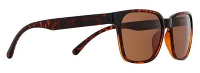 Produktbild von Red Bull Spect Eyewear Eliot Havanna Havanna -