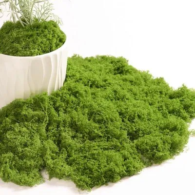 Obrázok produktu pre Umelá tráva 200 g, zelená, na dekoráciu stien a do akvária