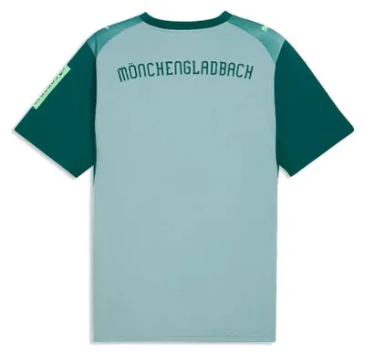 Produktbild von Puma BMG Herren Third Jersey 26/27 - 784015, Farbe:Grün, Textil:L