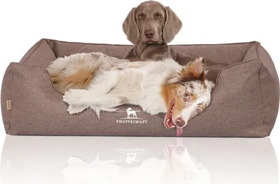 Produktbild von Knuffelwuff Orthopädisches Hundebett Wippo aus Velours mit Handwebcharakter Übergröße XXXL 155 x 105cm Potatoe
