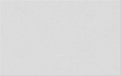 Produktbild von Erfurt Vliesfaser 1004303 Basic 101 10,05x0,53 m