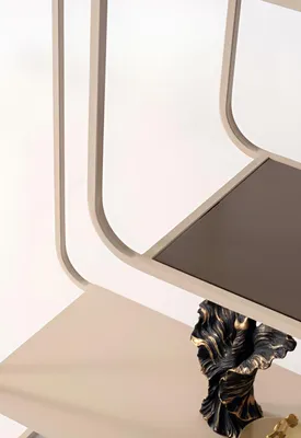 Obrázok produktu pre Štýlová knižnica v modernom dizajne s elegantnými tvarmi
