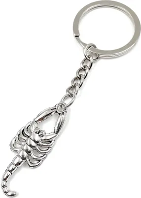 Produktbild von Onwomania Anhänger Skorpion Sternzeichen Schlüsselanhänger Metall Glücksbringer in Alu Geschenkbox, ideal zum Verschenken