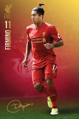 Image de Liverpool - Affiche - Firmimo 16/17