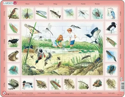 Produktbild von Rahmenpuzzle Am Teich 48 Teile