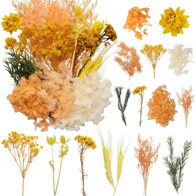 Produktbild von Set mit getrockneten Blumen für Bastelarbeiten und Dekoration (gelb)