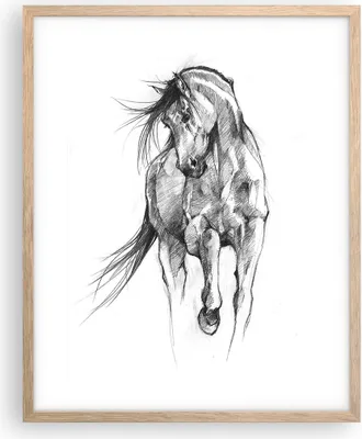 Produktbild von Gerahmtes Poster - Rahmen in heller Eiche - Pferd Galopp Tier - 40x50 cm - Wand Bild - Wanddeko - Wandbilder - Kunstposter - Wandposter - Bilderrahmen - Bilder - Kunstdruck - P2NPA40x50-5080