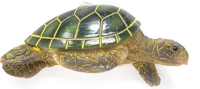 Produktbild von Nature Planet - Magnet - Meereschildkröte