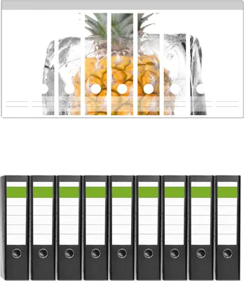 Produktbild von Wallario 9 Stück breite Ordner inkl. Klebeetiketten mit Motive Ananas in Eiswürfel - Eiskaltes Obst -  Set mit Rückenschildern / Ordnerrücken Stickern