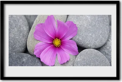 Produktbild von Bild 60x40 MDF-Rahmen Wandkunst Spa Blume Pflanze