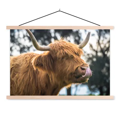 Produktbild von MuchoWow® Textilposter Schottischer Hochländer - Kuh - Frühling - Tiere 120x80 cm mit holzfarbenen Rahmen - Aufhängeset