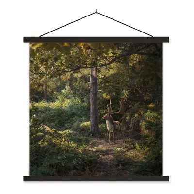 Produktbild von MuchoWow® Textilposter Hirsch - Geweih - Wald - Herbst 60x60 cm mit schwarzem Rahmen - Posteraufhänger