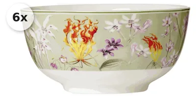 Produktbild von Müslischale 580ml 6er Set Flora grün