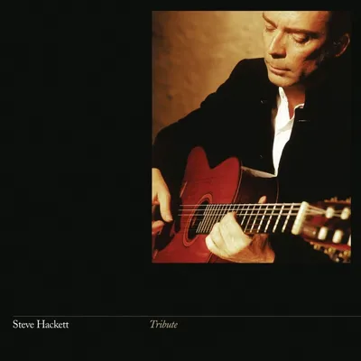 Zdjęcie produktu dla Steve Hackett - Tribute (Reissue) (180 g) (LP)