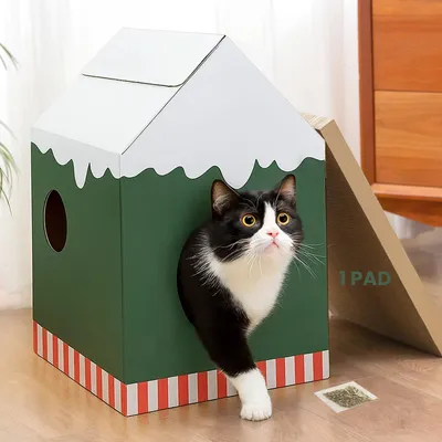 Image de Panneau à gratter pour chat, en carton, de couleur verte, dimensions : 33 x 32 x 50 cm