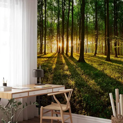 Obrázok produktu pre Vlies Fototapete - Jar: Ráno v lese 350x245 cm Landschaften c-B-0027-a-b
