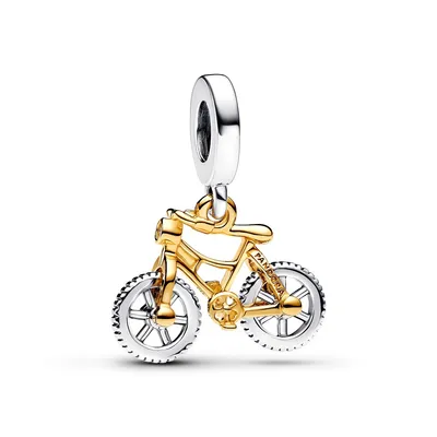 Image de Charms et pendentifs Pandora pour adultes