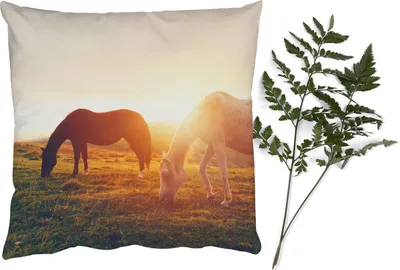 Produktbild von MuchoWow® Zierkissen Sofakissen Wohnzimmer Dekokissen 60x60 cm Pferde - Sonne - Tiere - Sitzfläche - Foto Polster