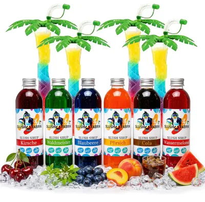 Image de Sirop Slush coffret fête 6 saveurs 250 ml + 4 palmiers verts 1:5 sans AZO sans glycérine