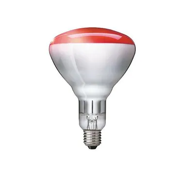 Produktbild von PHILIPS Infrarotlampe für Tieraufzucht 250 Watt