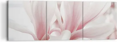 Produktbild von Bild auf Leinwand - Leinwandbild - 3 Teile - Zweig Magnolie Blume - 120x40cm - Wand Bild - Wanddeko - Wandbilder - Leinwanddruck - Bilder - Wanddekoration - Leinwand bilder - Wandbild - CA120x40-4538