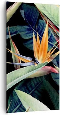 Produktbild von Bild auf Leinwand - Leinwandbild - Einteilig - Pflanze Tropisch Blume - 65x120cm - Wand Bild - Wanddeko - Wandbilder - Leinwanddruck - Bilder - Wanddekoration - Leinwand bilder - PA65x120-5093