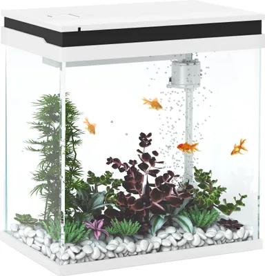 Produktbild von PawHut Kleines Komplett-Aquarium 14L, Glasaquarium, mit Filtersystem, LED-Beleuchtung, Wasserpumpe und Deckel für tropische Fische, Rot, Weiß