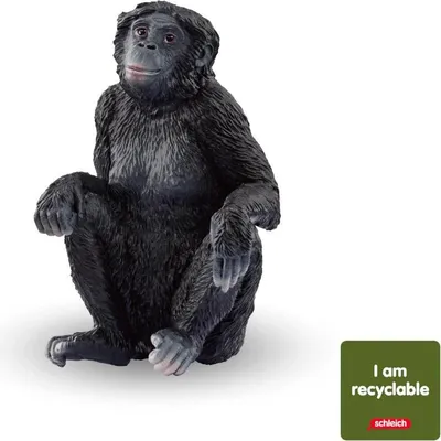 Image de Schleich Bonobo femelle (circulaire) 14943