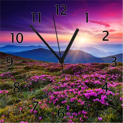 Produktbild von Wallario Design Wanduhr Blumenbedeckte Wiese bei Sonnenuntergang aus Echtglas, Größe 30 x 30 cm