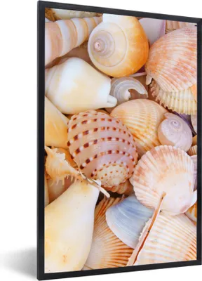Produktbild von MuchoWow® Gerahmtes Poster Muscheln - Strand - Sommer - Orange 20x30 cm - Poster mit Schwarzem Bilderrahmen Wandposter Rahmen Foto Bilder - Drucken - Bilder Poster im Rahmen