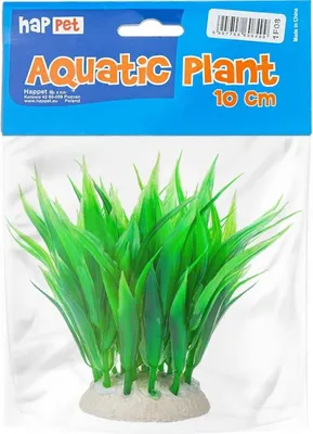 Immagine prodotto di Pianta in foil 10cm 1f08 Happet