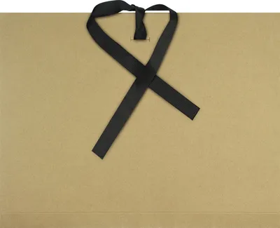 Immagine prodotto di kangaro K-002003 Cartella da disegno kangaro Kraft, 500 x 700 mm, con nastri