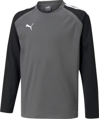 Obrázok produktu pre Puma Teamliga Sweat Kids - Grey