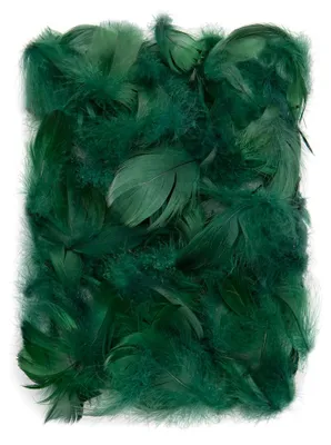 Image de Plumes vert foncé 5-12 cm 10 g - Dalprint dpCraft