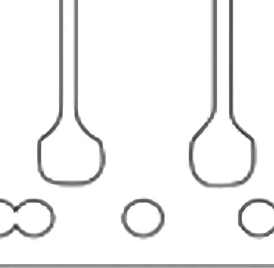 Produktbild von Membranplättchen Malossi Carbon für Derbi Senda D50B0, EBE, EBS