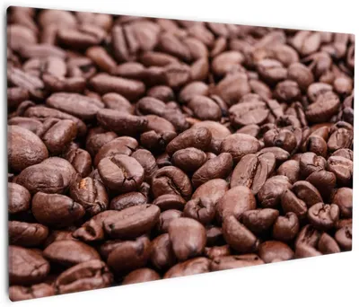 Produktbild von Wallario Premium Leinwandbild Frisch geröstete Kaffeebohnen in Größe 60 x 90 cm