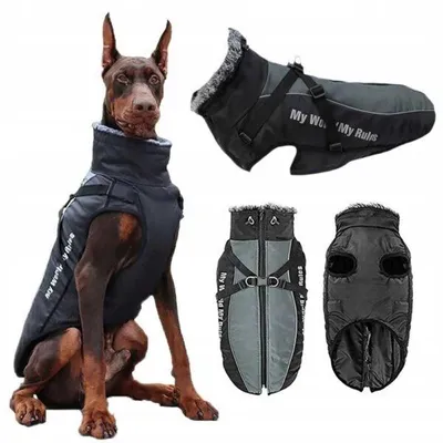 Produktbild von Petinio RULEZ Hundejacke für große Hunde Warm Grau 4XL