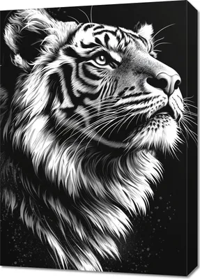 Zdjęcie produktu dla Obraz 50x70cm Portret Zwierząt do Salonu | Tygrys 3 | Czarno Białe