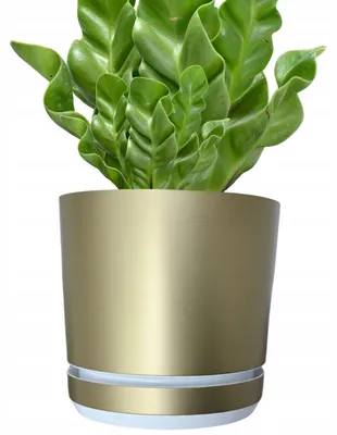Produktbild von Kerd DEKOR Blumentopf 12cm Champagnergold Weiß Glanz