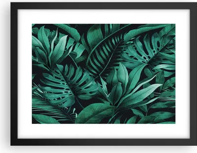 Produktbild von Gerahmtes Poster - Schwarzer Rahmen - Blätter Grafiken Monstera - 40x30 cm - Wand Bild - Wanddeko - Wandbilder - Kunstposter - Wandposter - Bilderrahmen - Bilder - Kunstdruck - P2BAA40x30-4886