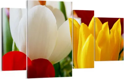 Produktbild von Bild auf Leinwand - Leinwandbild - Tulpen Vase Blumenstrauß - 120x70cm - Wand Bild - Wanddeko - Leinwanddruck - Bilder - Kunstdruck - Wanddekoration - Leinwand bilder - Wandkunst - DL120x70-1366