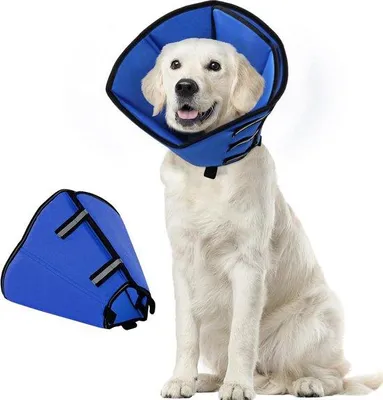 Productafbeelding van Zachte Herstelkegel voor Hond en Kat - Verstelbare Beschermkraag na Operatie
