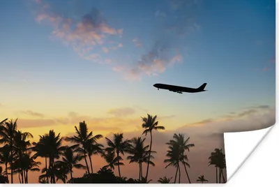 Produktbild von MuchoWow® Poster Silhouette eines Flugzeugs über den Palmen 30x20 cm - Plakate - Print