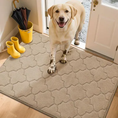 Productafbeelding van Binnenmat, 80 x 120 cm, beige, rechthoekige vuilvanger, antislip, absorberend, machinewasbaar